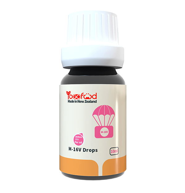YoGofoodM16VIB΄.jpg