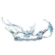 乳清發酵液.jpg 乳清發酵液.jpg