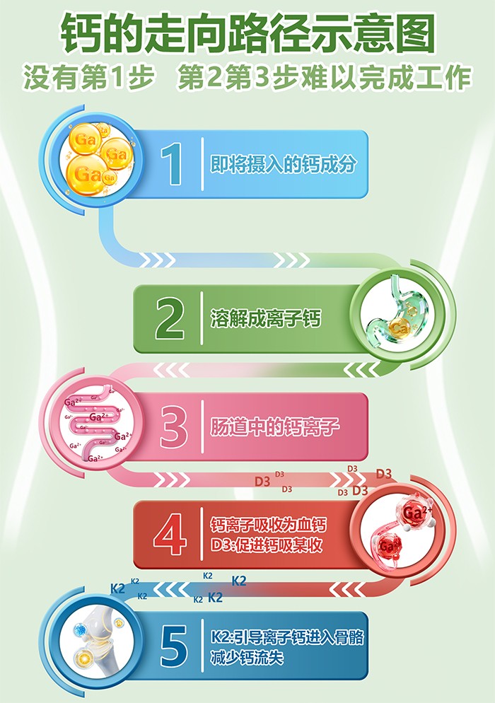 百合康綠冠軍鈣鐵鋅營養飲詳情 (6).jpg