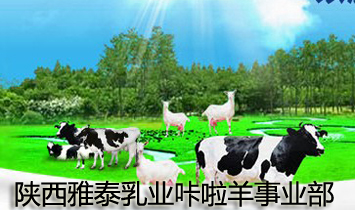 ̩II