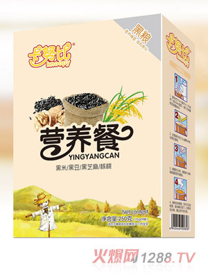 ŬȺڼZIB